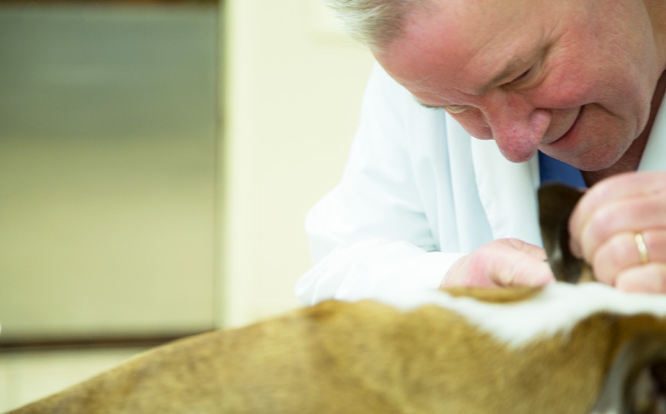 Lefebvre Veterinary Medical Clinic